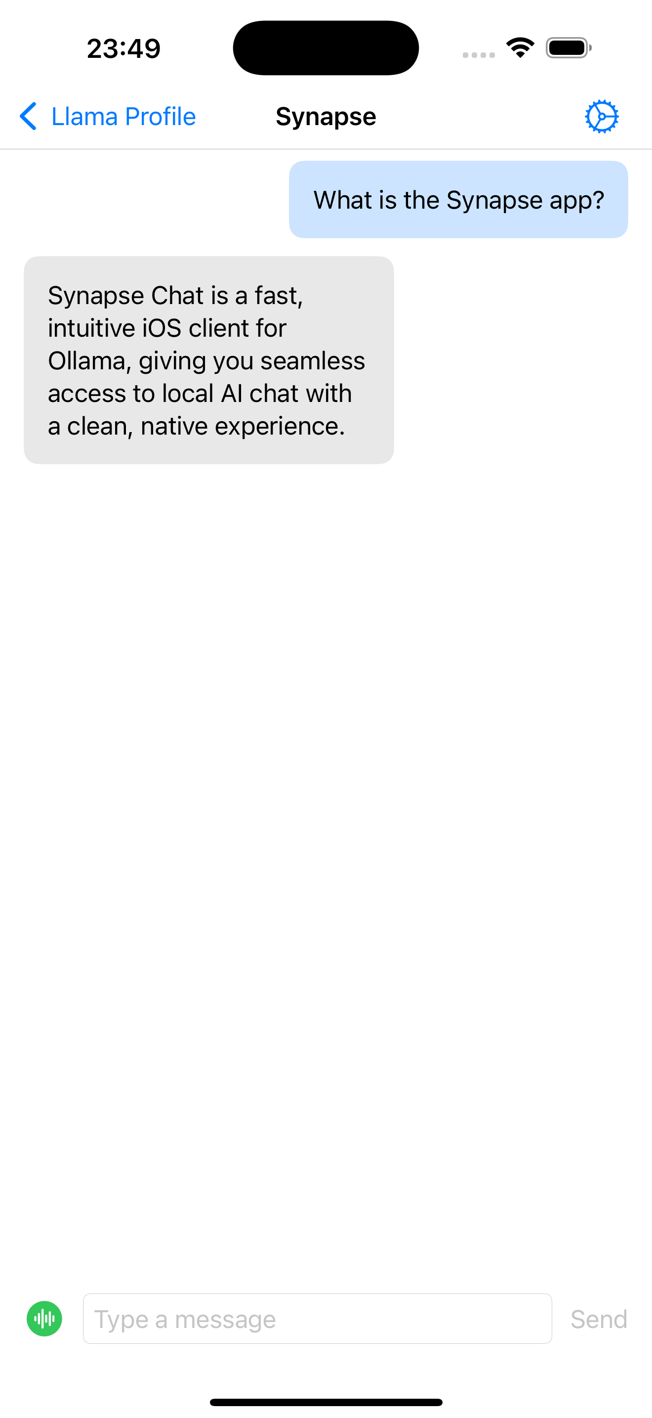 Chat Interface